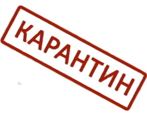 Режим работы на время карантина